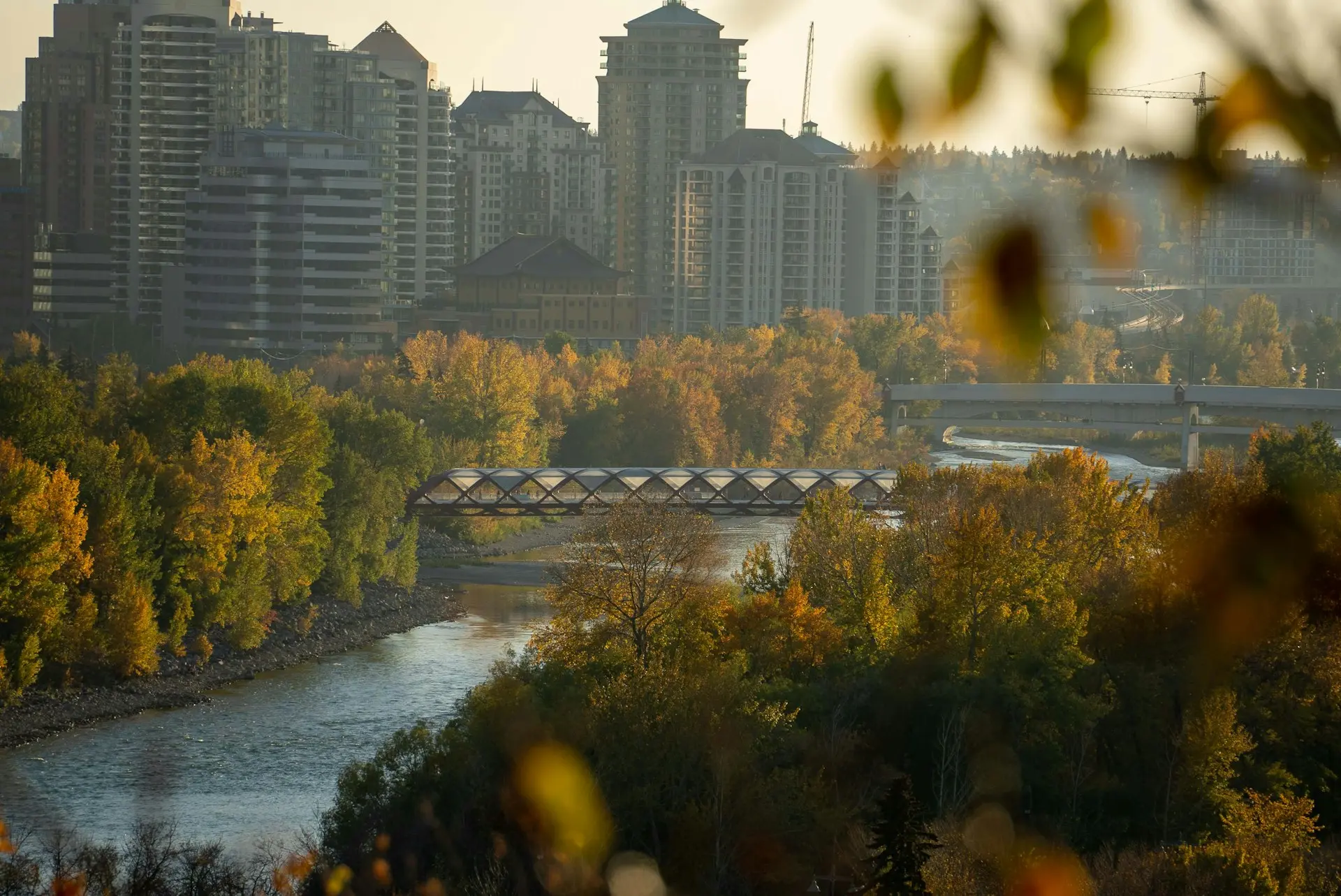 Peace Bridge over the Bow River in autumn with Calgary downtown skyline