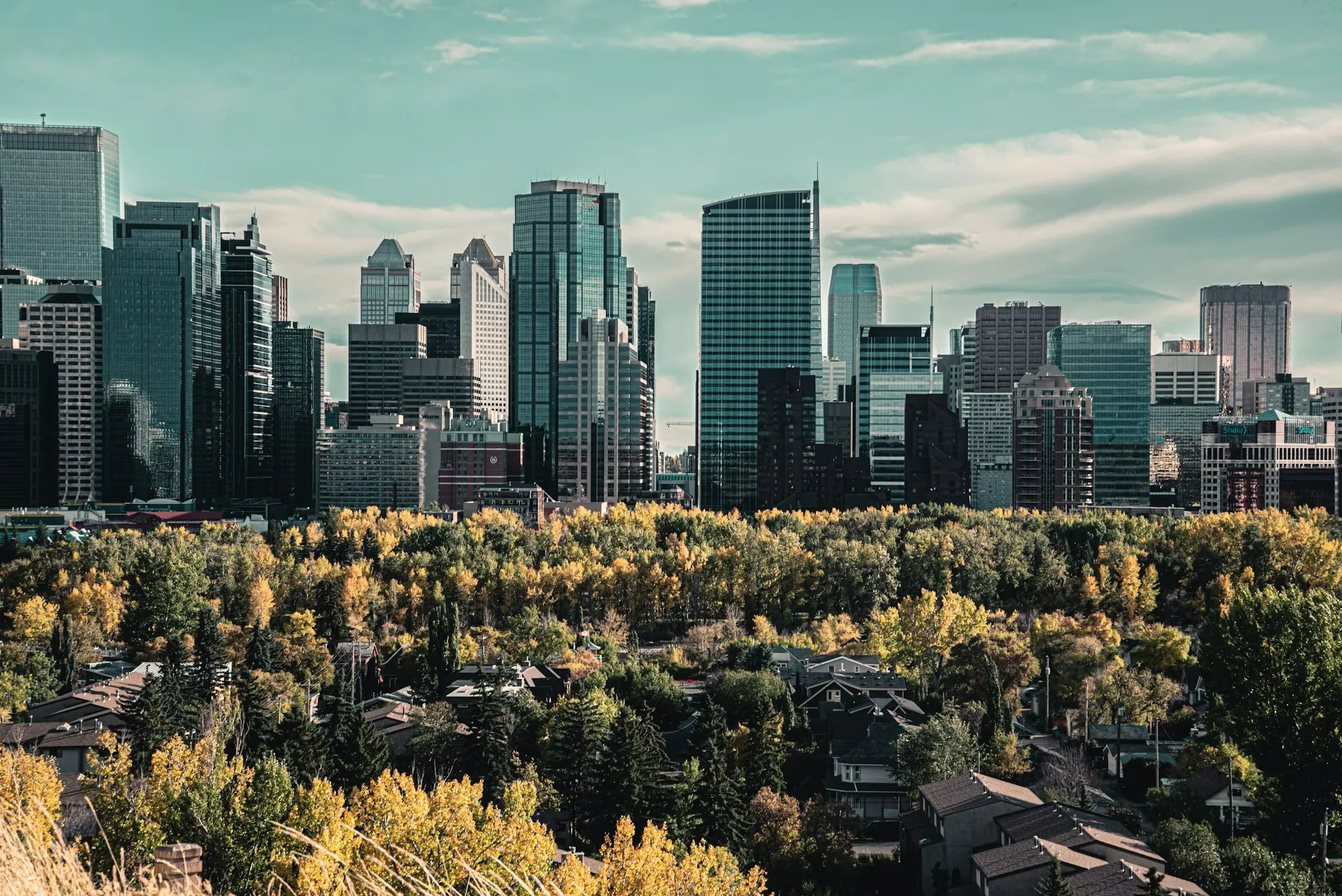 Calgary downtown skyline with fall foliage and residential neighbourhoods in the foreground